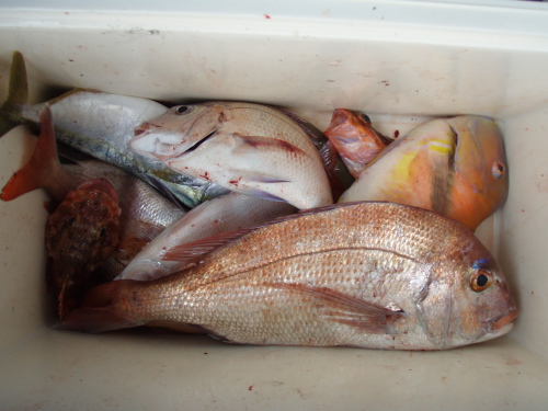 2009秋季釣り大会(いまり)_a0077071_16494132.jpg