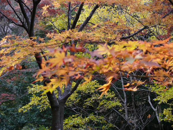e0056880_1601466.jpg