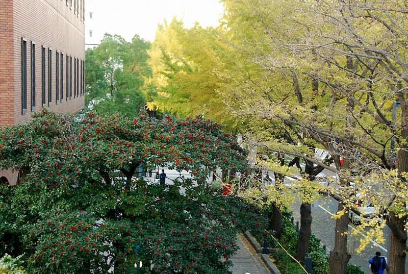 c0187781_81082.jpg