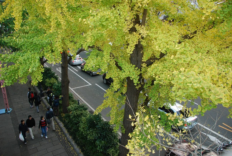c0187781_82567.jpg