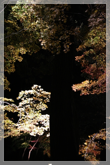 e0027083_03012.jpg