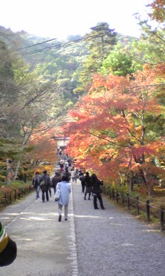 紅葉だより_f0198285_21114839.jpg