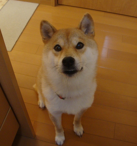 10年後の為に_a0126590_44034100.jpg