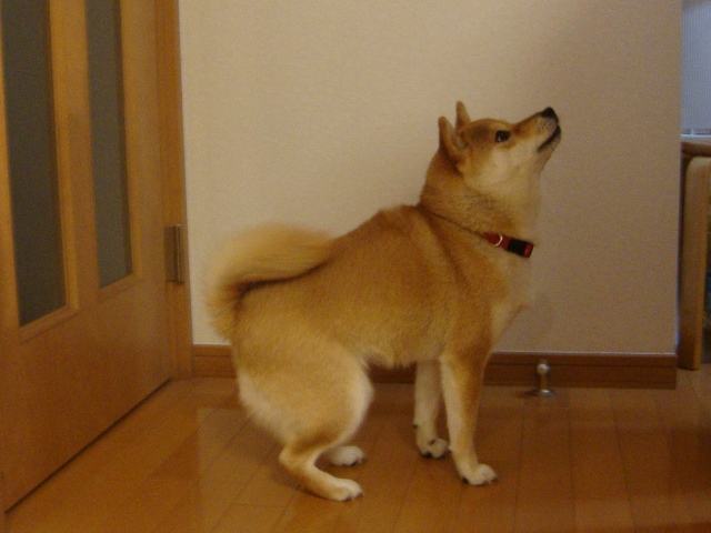 10年後の為に_a0126590_8514288.jpg