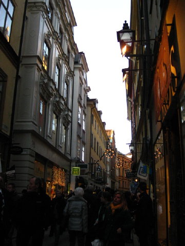 c0180096_8545067.jpg