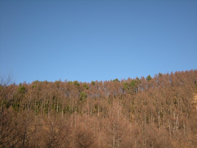 b0138798_2310866.jpg