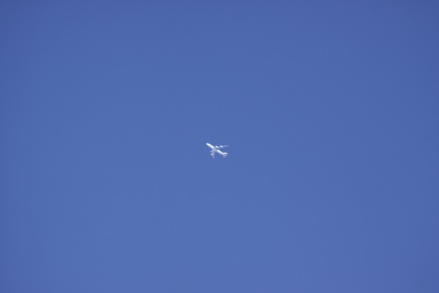 b0138798_23131854.jpg
