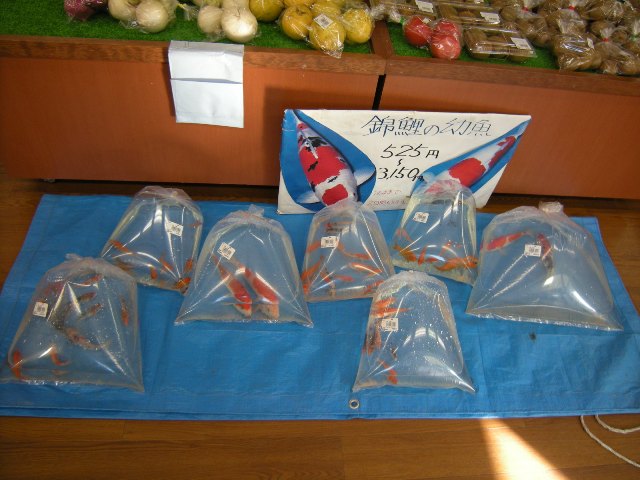 b0138798_231382.jpg