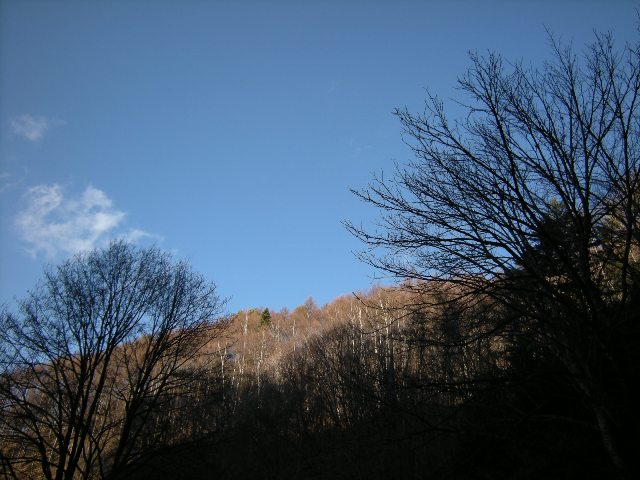 b0138798_2393626.jpg