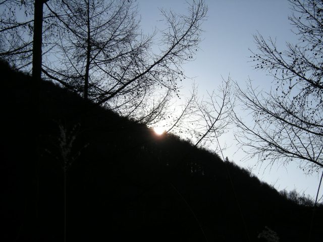 b0138798_23946100.jpg