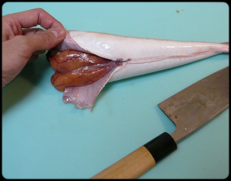 ホウボウの捌き方 魚と野菜と私と和ノ香