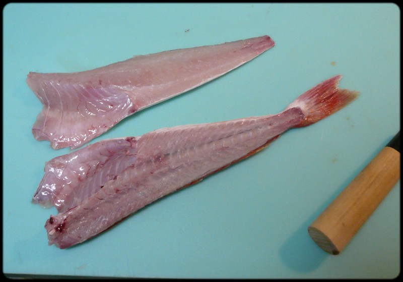 ホウボウの捌き方 魚と野菜と私と和ノ香