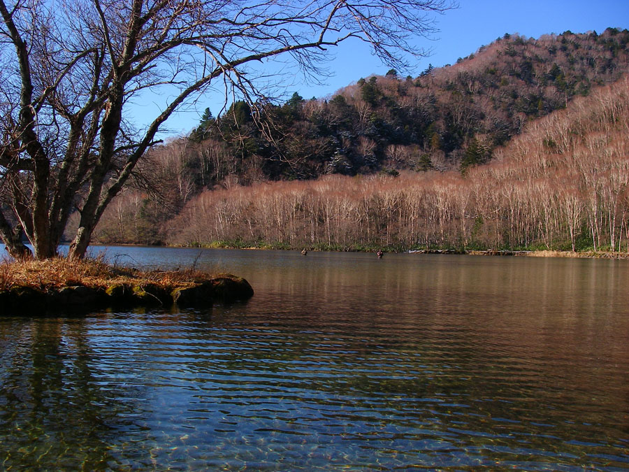 丸沼2009 エピローグ_c0095801_2365237.jpg
