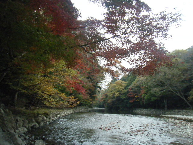 a0050302_15553783.jpg