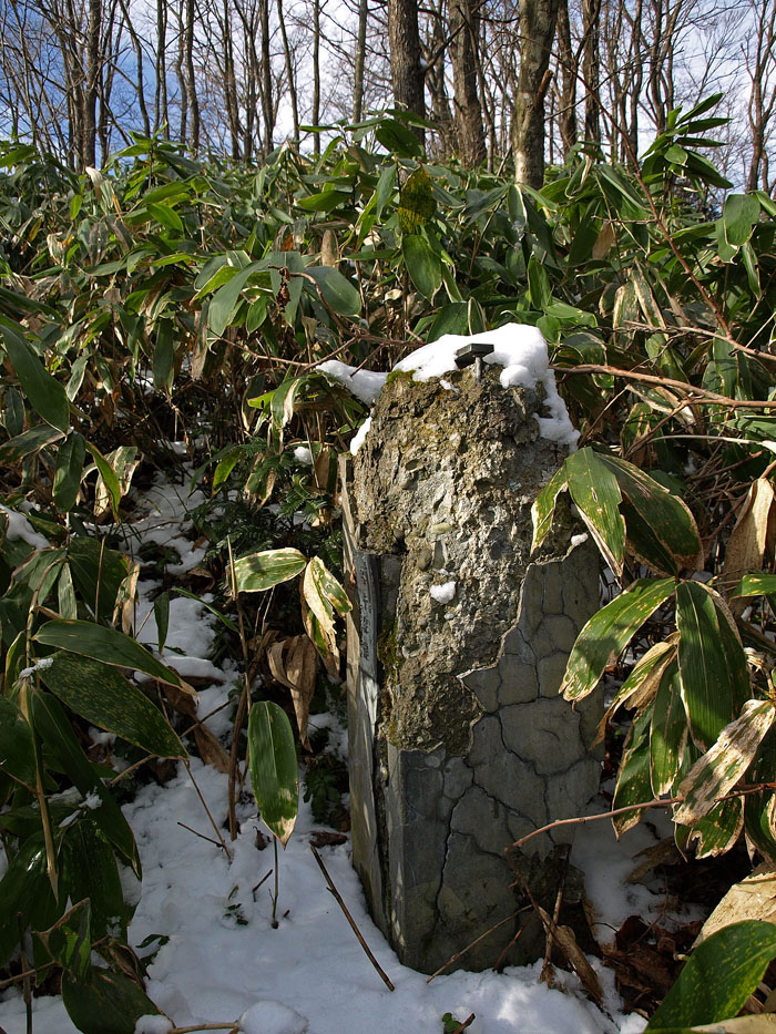 初冬の馬追丘陵 その１　長官山の子午線標　　2009.11.22_f0200402_22534483.jpg