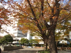 c0052304_1124502.jpg