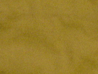 a0123808_2205310.jpg