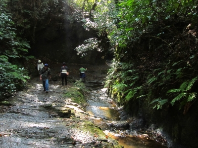 c0156908_23563034.jpg