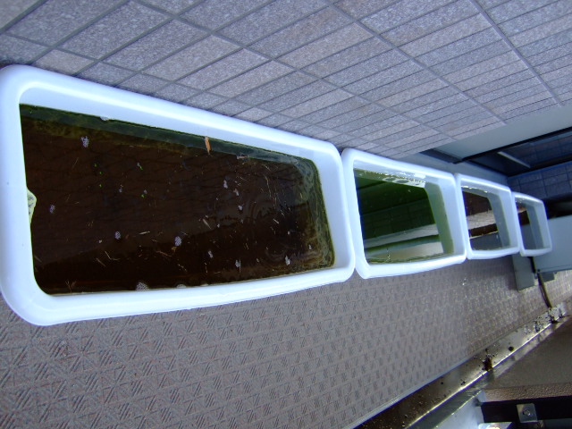 f0152308_167110.jpg
