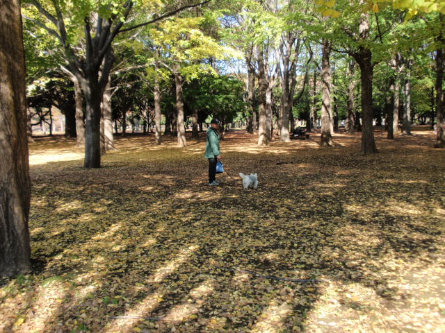 b0175712_10243463.jpg