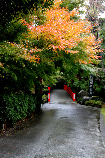 今熊野　観音寺_e0048413_22152356.jpg