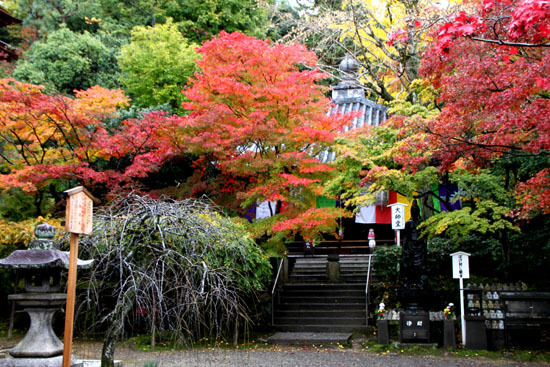 今熊野　観音寺_e0048413_22154898.jpg