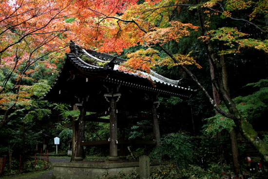 今熊野　観音寺_e0048413_22162014.jpg