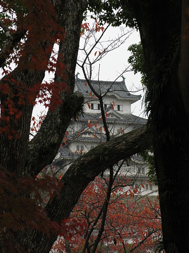 e0150614_83129.jpg