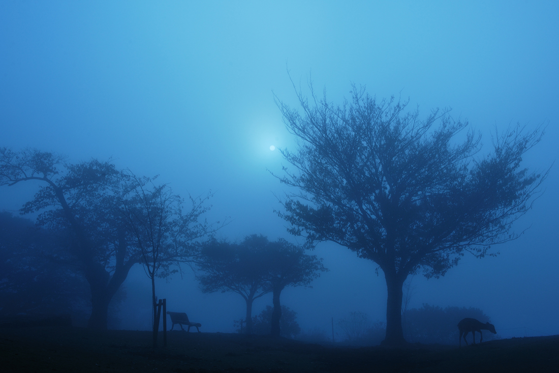 A foggy morning_c0189822_1834776.jpg