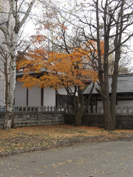 d0136122_9362569.jpg