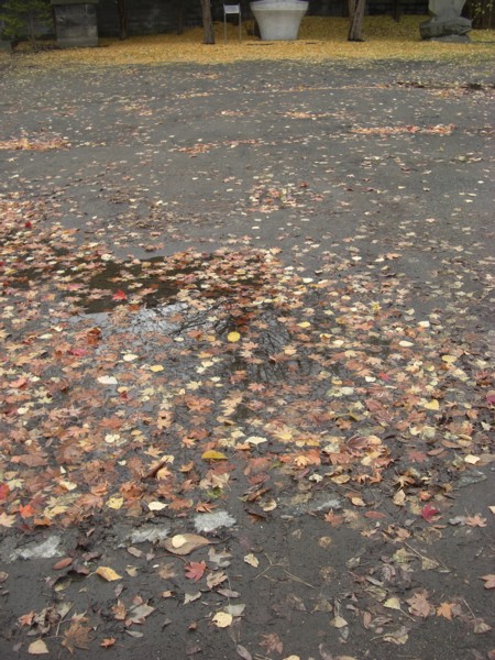 d0136122_937744.jpg