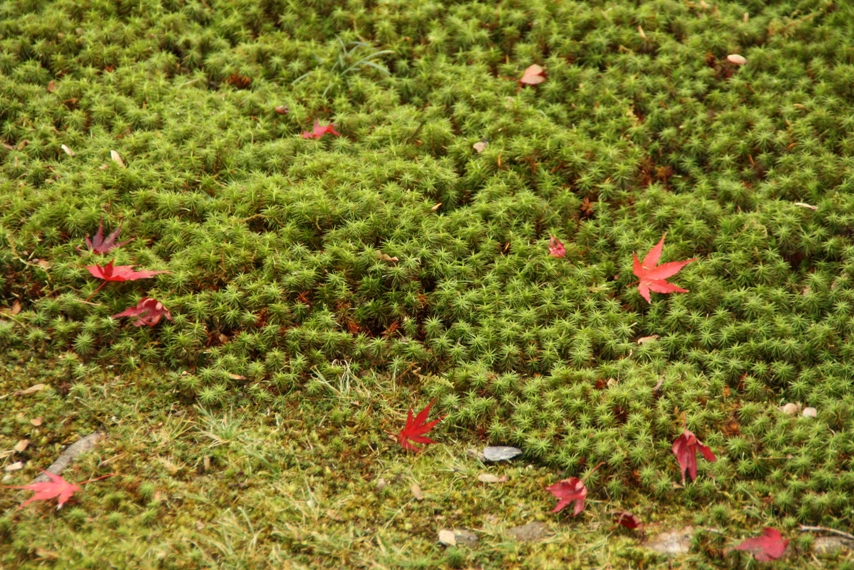 b0146723_17375316.jpg