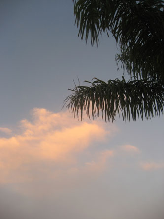 e0185225_729595.jpg