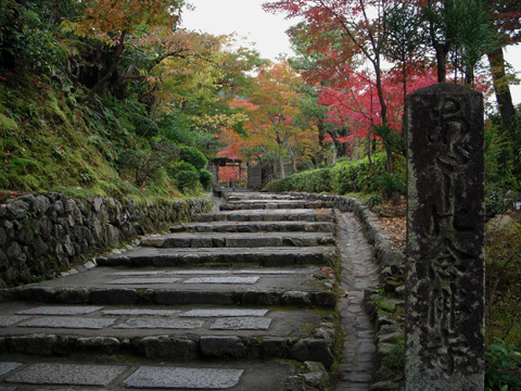 嵯峨野_c0077531_0155210.jpg