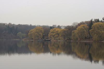 017 High Park ~もう少し早く来れば・・・~_c0211532_14455349.jpg