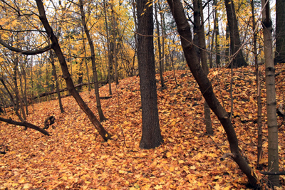 017 High Park ~もう少し早く来れば・・・~_c0211532_15442182.jpg