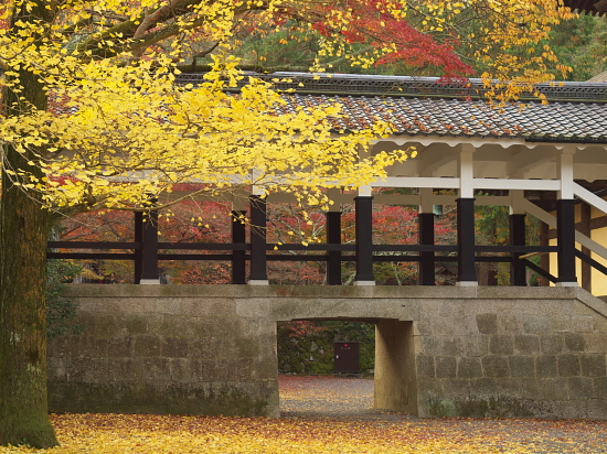 紅葉巡り2009～京都・南禅寺～_e0080133_0252955.jpg