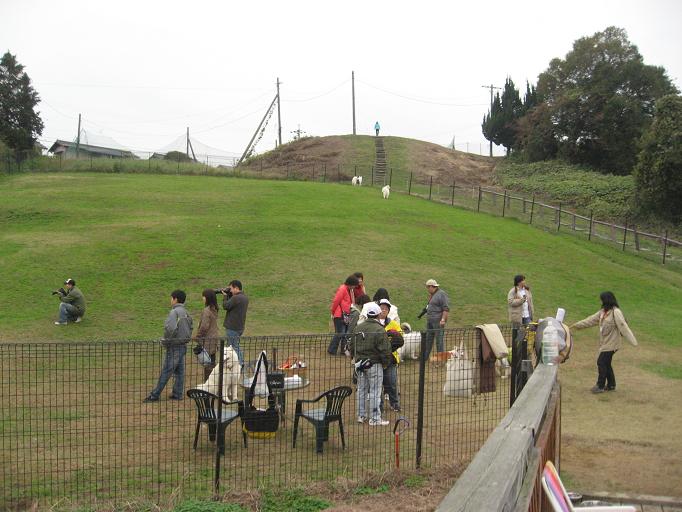 中部オフ会_b0177436_10513988.jpg