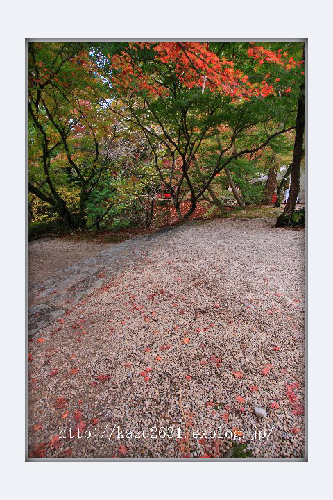 紅葉の名所　仁比山神社_b0180042_2249339.jpg