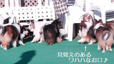 江ノ島オフ会~大集合♪♪_e0195743_21321314.jpg