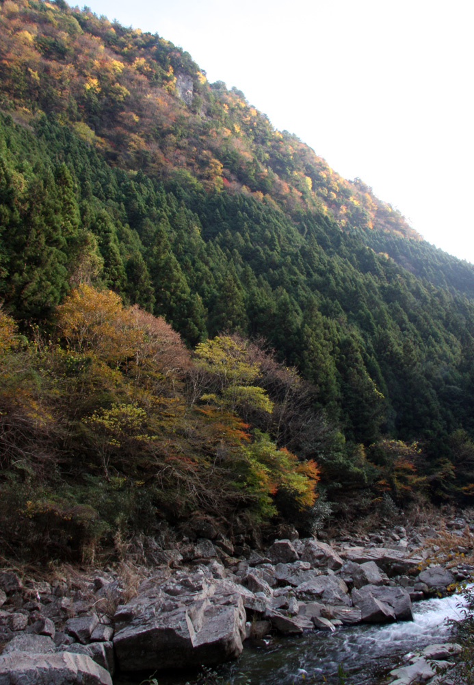 曽爾村 奥香落渓 紅葉 魅せられて大和路