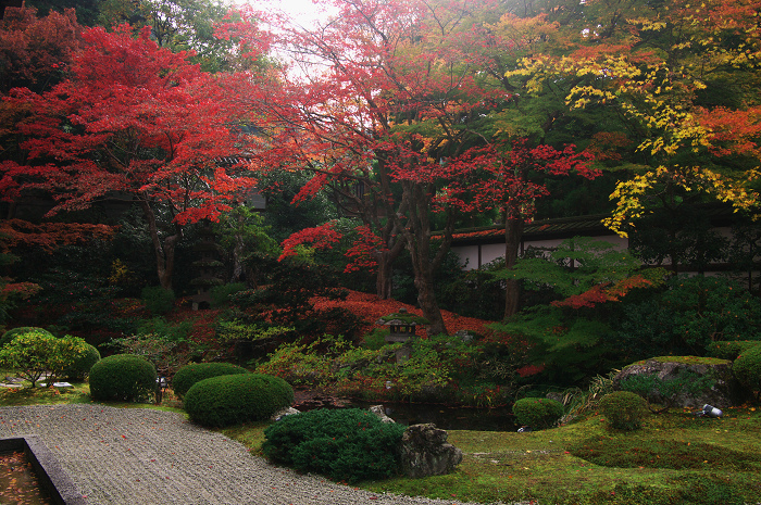 色鮮やかな庭園（泉涌寺・御座所庭園）_f0155048_2249683.jpg