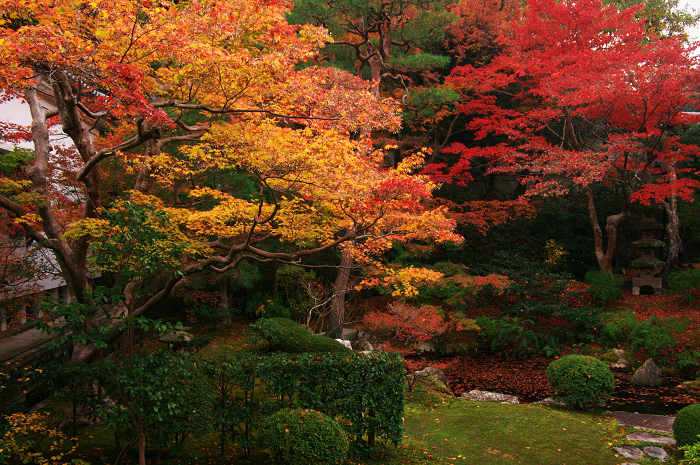 色鮮やかな庭園（泉涌寺・御座所庭園）_f0155048_2259326.jpg