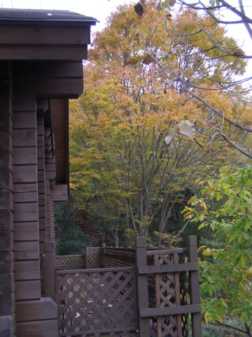 f0043750_05586.jpg