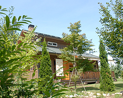 d0050155_038344.jpg