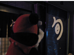 b0159557_21124270.gif