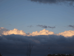 b0159557_2192985.gif