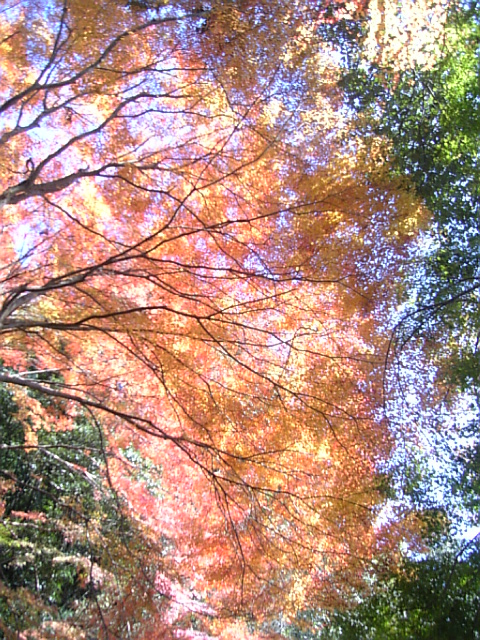 c0115560_2174963.jpg
