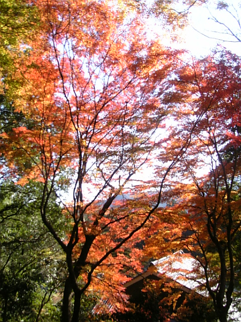c0115560_2182556.jpg