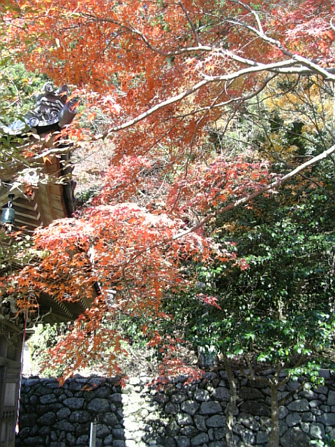 c0115560_218990.jpg